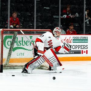 Image post by @ohlicedogs on Instagram