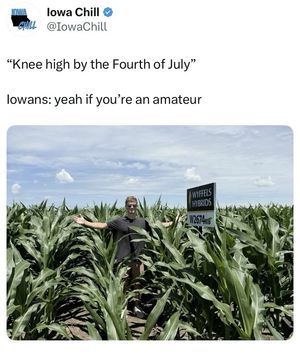 Video post by @iowachill on TikTok