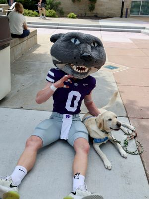 Image post by @kansasstateuniversity on Instagram