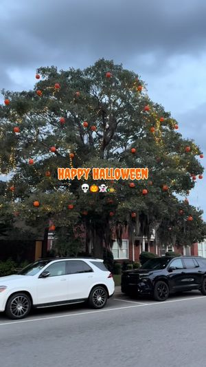 Video post by @visitmyrtlebeach on TikTok