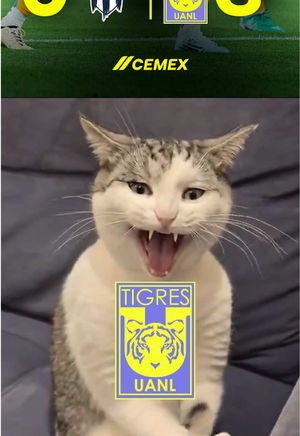 Video post by @clubtigresfemenil on TikTok