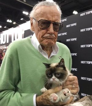 Image post by @therealstanlee on Instagram
