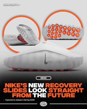 Image post by @insanesneaker on Instagram