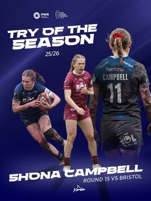Image post by @salesharkswomen on Instagram