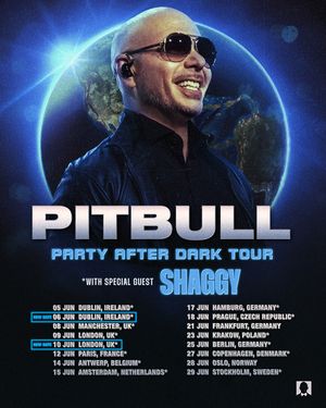 Image post by @pitbull on Instagram