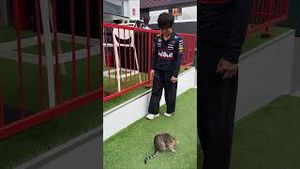 Video post by @redbullracing on YouTube