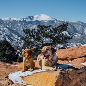 Image post by @visitpikespeak on Instagram