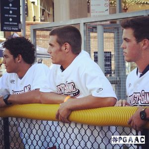 Image post by @pgallamerican on Instagram
