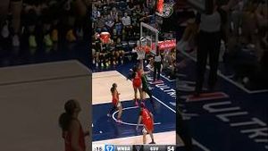 Video post by @minnesotalynx on YouTube