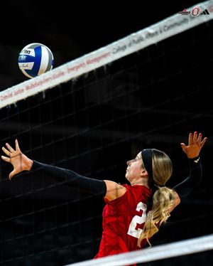 Image post by @omahavb on Instagram