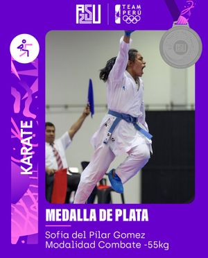 Image post by @copteamperu on Twitter/X
