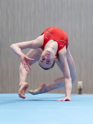 Image post by @usagym on Instagram