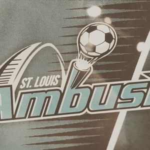 Image post by @stlouisambush on Instagram