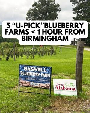 Image post by @bhamnow on Instagram