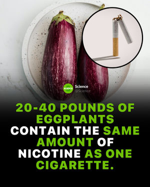 Image post by @science on Instagram