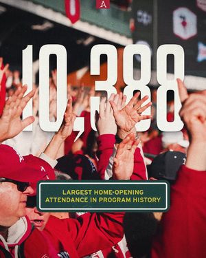 Image post by @razorbackbsb on Instagram