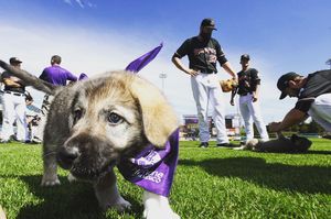 Image post by @abqtopes on Instagram