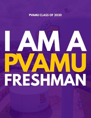 Image post by @p3pvamu on Instagram