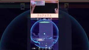 Video post by @artisanpapaya on YouTube