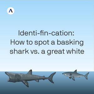 Image post by @axios on Instagram