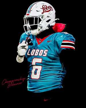 Image post by @unmlobofb on Instagram
