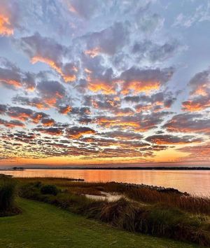 Image post by @southcarolina on Instagram