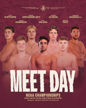Image post by @fsuswimdive on Instagram