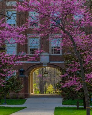 Image post by @miamiuniversity on Instagram