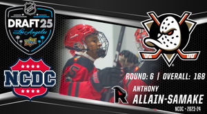 Image post by @usphlhockey on Instagram