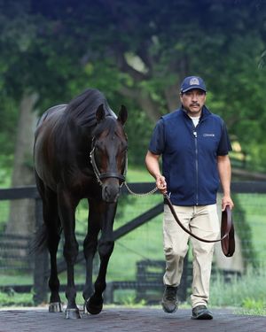 Image post by @coolmoreamerica on Instagram