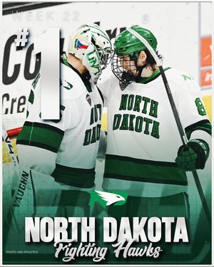 Image post by @everythingcollegehockey on Instagram