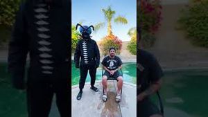 Video post by @paparoach on YouTube