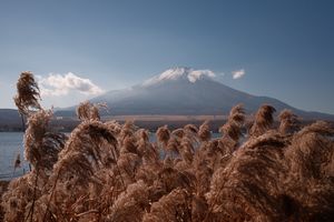 Image post by @kylecoopah on Instagram