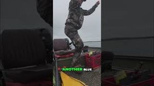 Video post by @lakeforkguy on YouTube
