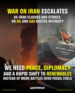 Image post by @greenpeace on Instagram