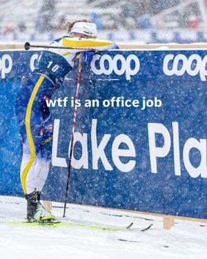 Image post by @fiscrosscountry on Instagram