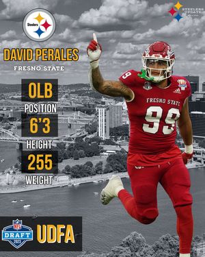 Image post by @steelersupdatecom on Instagram