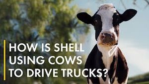Video post by @shell on YouTube