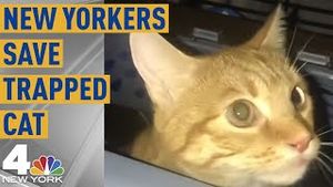 Video post by @nbcnewyork on YouTube