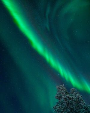 Image post by @olderelder on Instagram