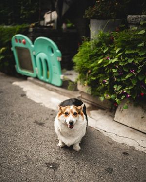 Image post by @allenzhao09 on Instagram