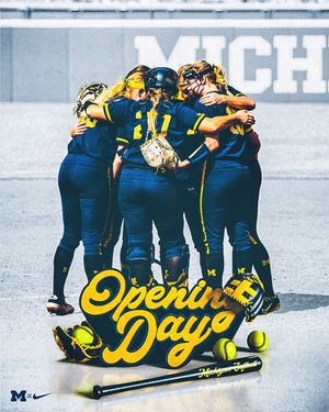 Image post by @umichsoftball on Instagram