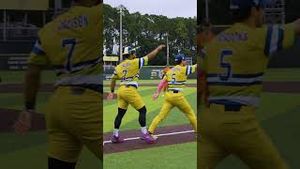 Video post by @thesavannahbananas on YouTube