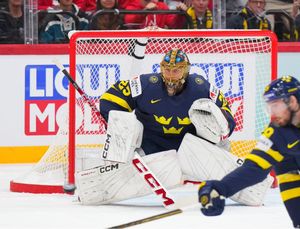 Image post by @thenvpshow on Twitter