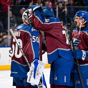 Image post by @TheAHL on Twitter