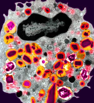 Image post by @biohub on Instagram