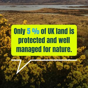 Image post by @rspb on Instagram