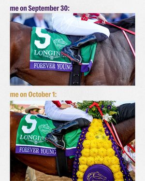 Image post by @breederscup on Instagram