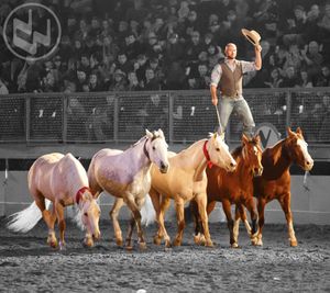 Image post by @nationalwestern on Instagram