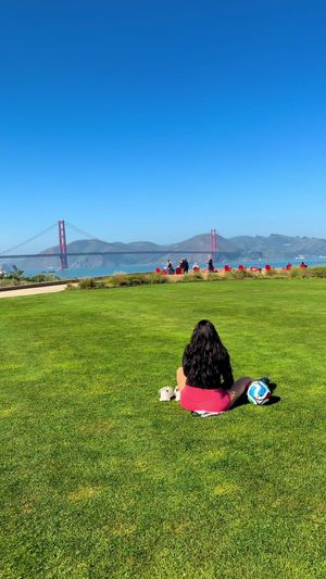 Video post by @alana7bernal on TikTok